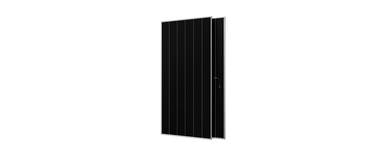 Series-Polaris-3N-Plus-72-Dual-Glass-650w-675w-detail Product Image