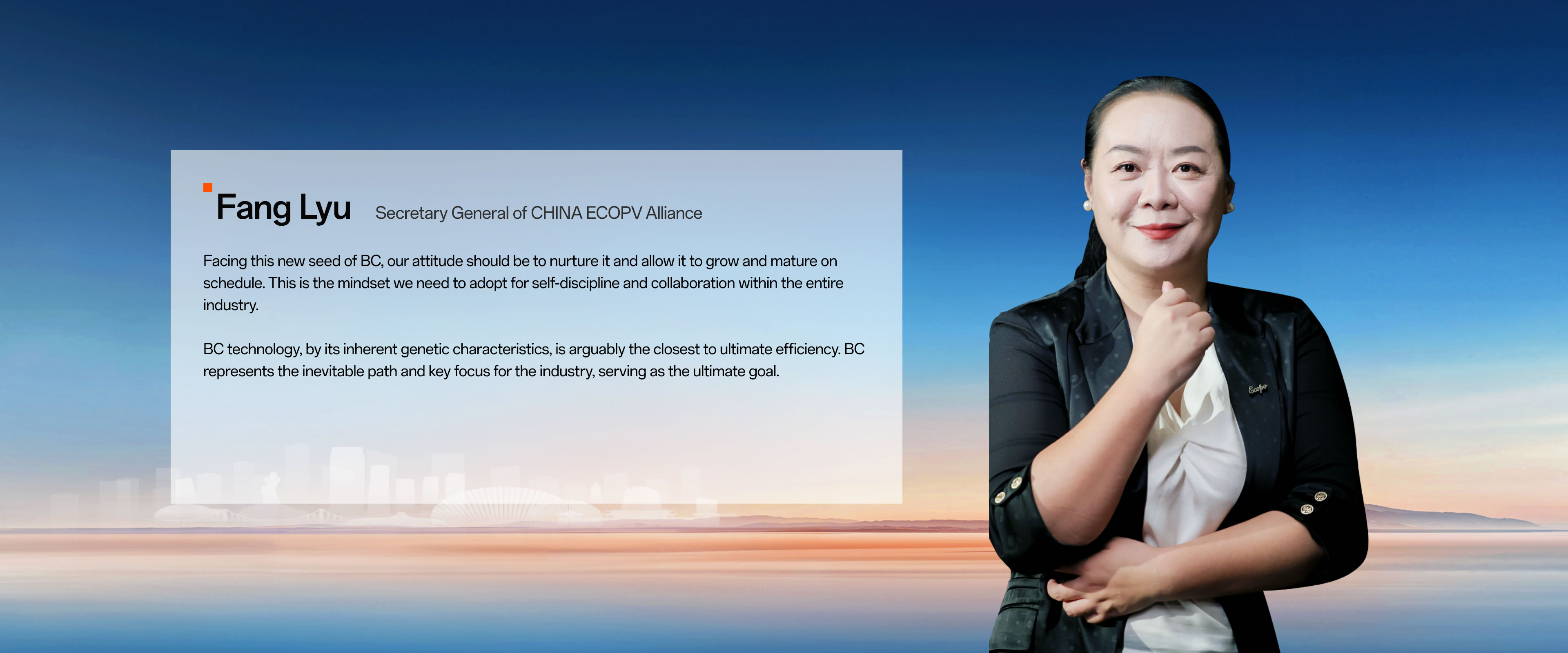 tipic-bifi-pv-leaders-04 PP电子·(中国)官方网站