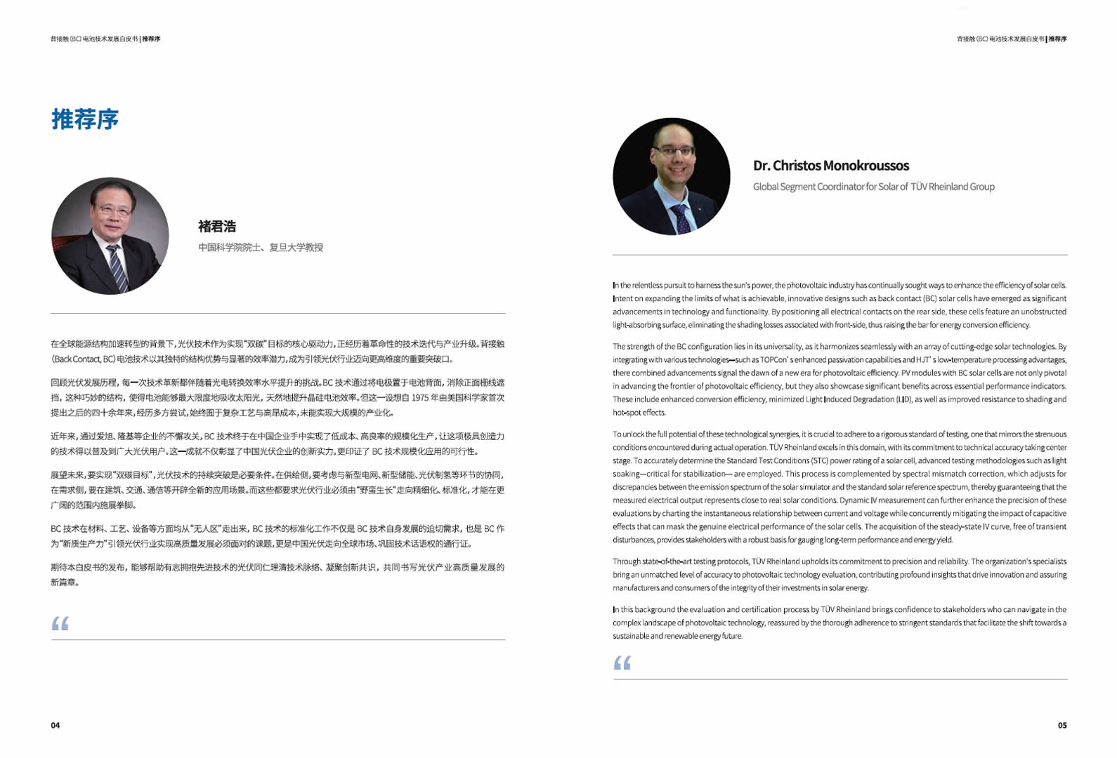 bc-technology-white-paper-02 背接触(BC)电池技术发展白皮书