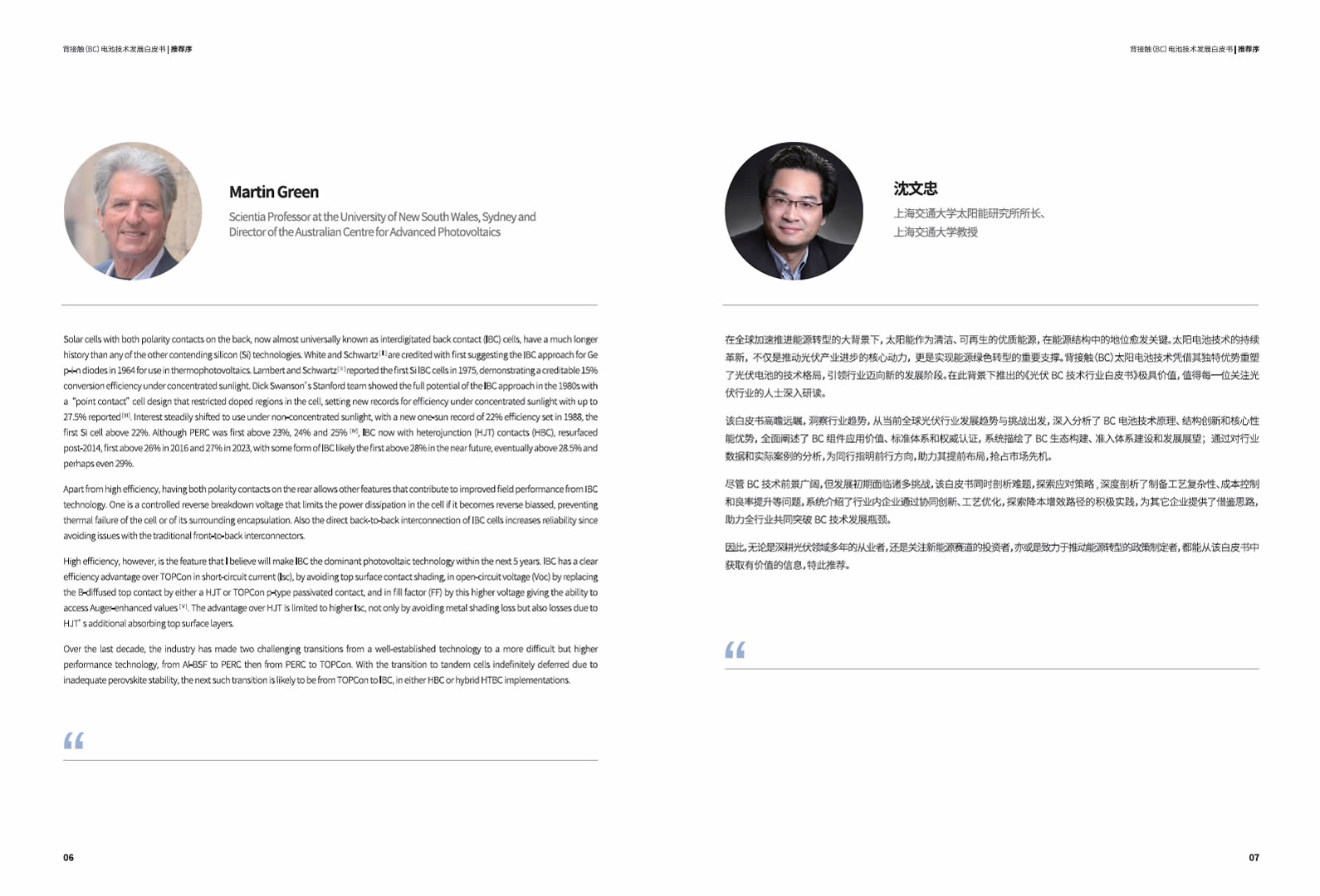 bc-technology-white-paper-03 背接触(BC)电池技术发展白皮书