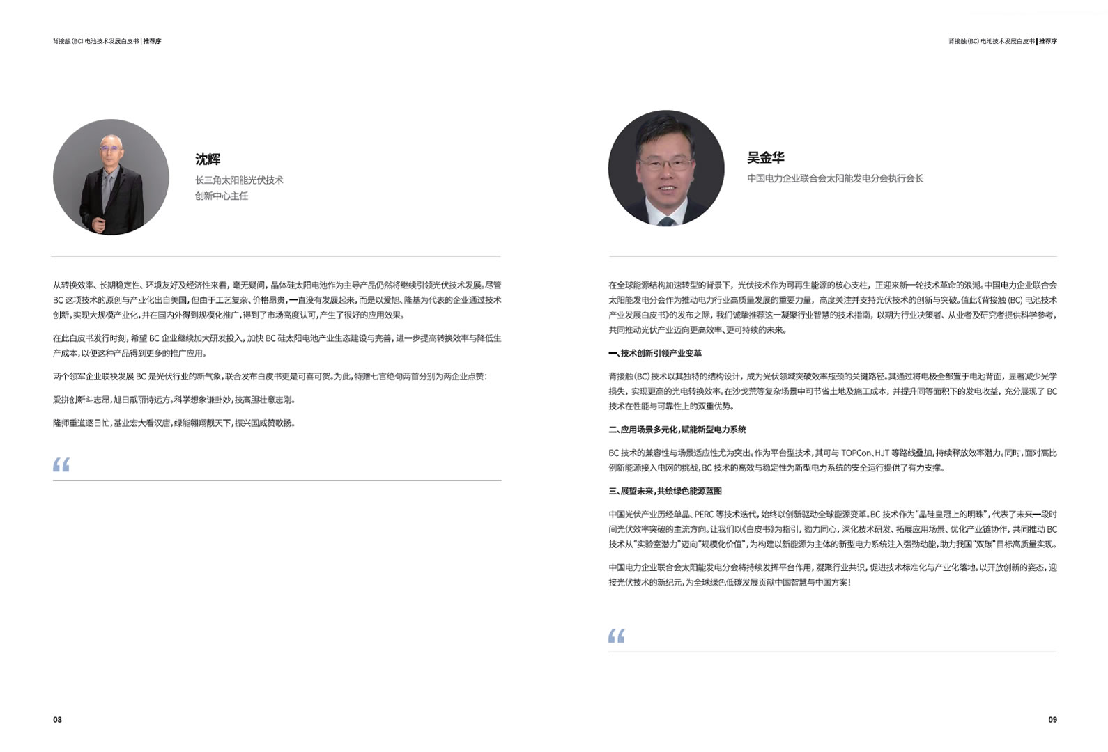bc-technology-white-paper-04 背接触(BC)电池技术发展白皮书