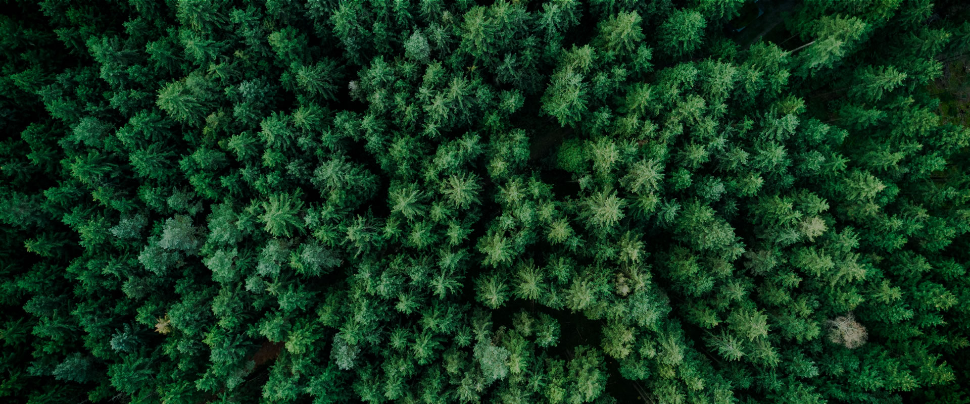home-esg-bg Accelerate the global carbon-free