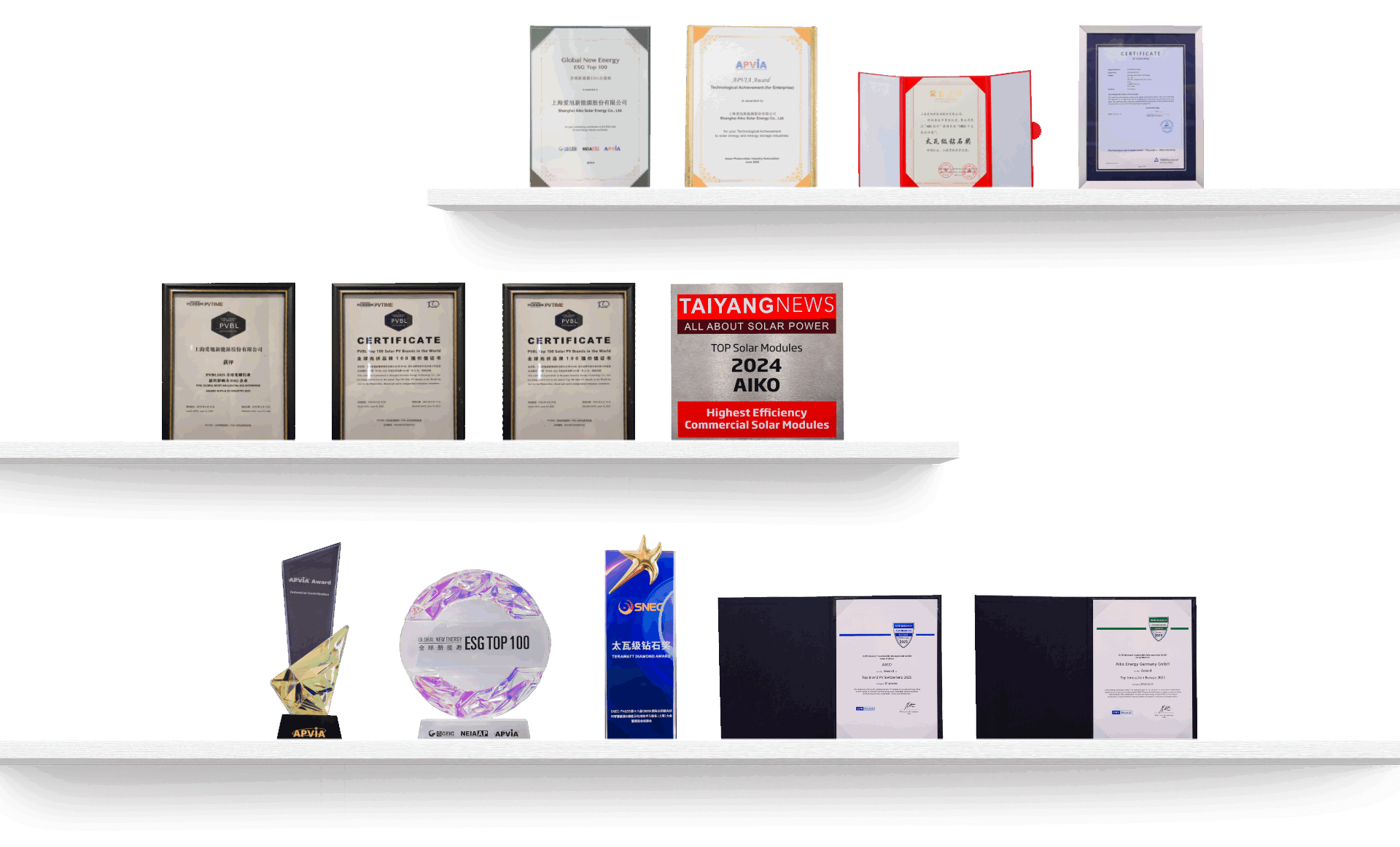topic-snec-2025-award-wall Award