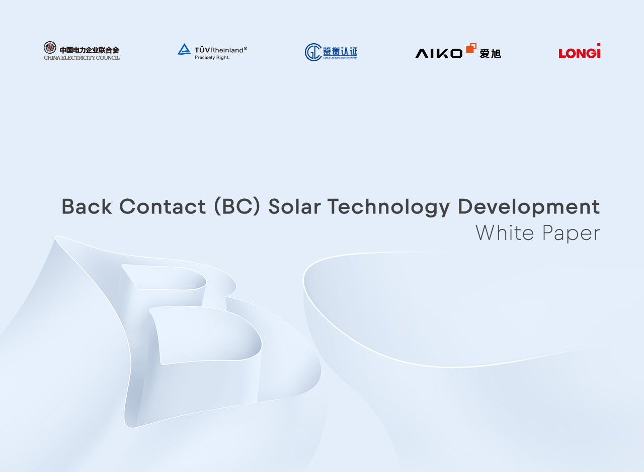 new-teck-bc-technology-white-paper-en 白皮书