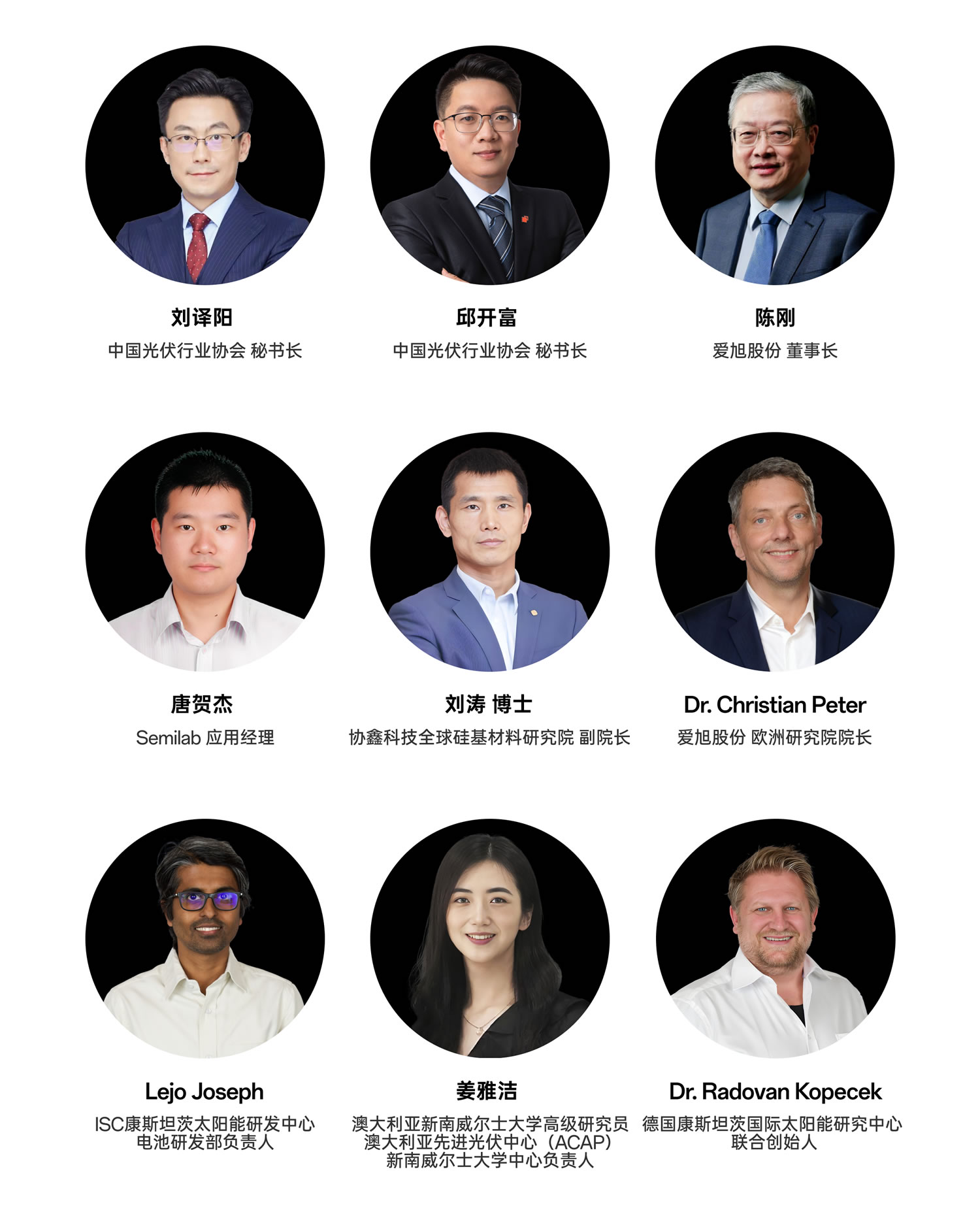 bifi-pv-2025-experts-1-cn-m PP电子·(中国)官方网站