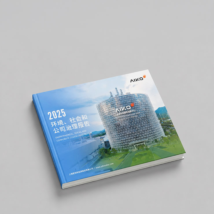 ESG 报告